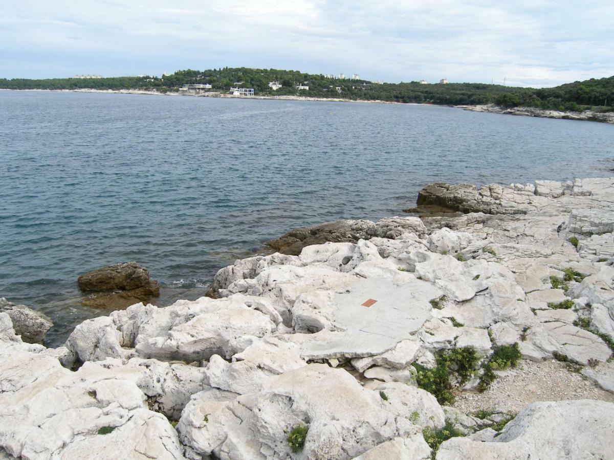 Darinka Apartmán *